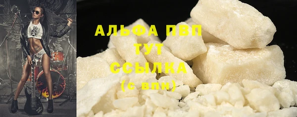 прущие грибы Саяногорск
