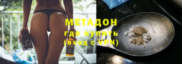прущие грибы Саяногорск