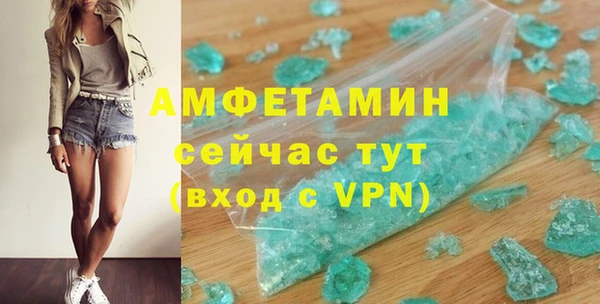 прущие грибы Саяногорск