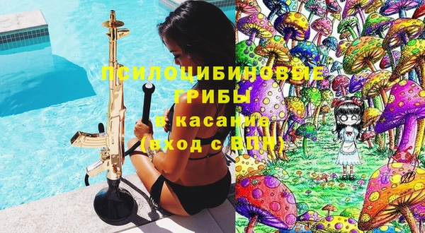 гидра Верея