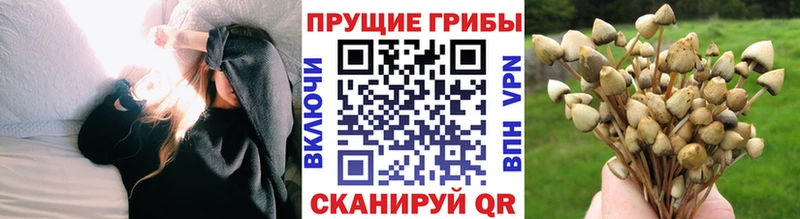 наркошоп  blacksprut сайт  Псилоцибиновые грибы прущие грибы  Медвежьегорск 